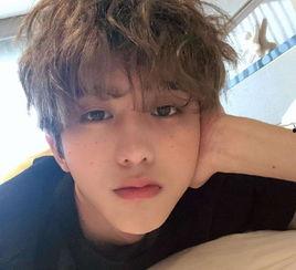 娱乐爆料勋鹿是真的吗,娱乐爆料背后的真相